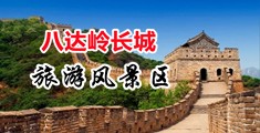 插进去啊啊啊在线播放免费中国北京-八达岭长城旅游风景区